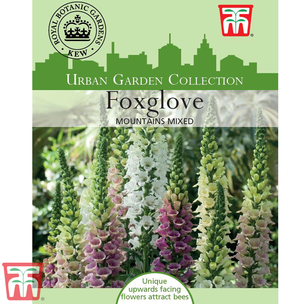 Foxglove 'Mountains Mixed' - Kew Collection Seeds