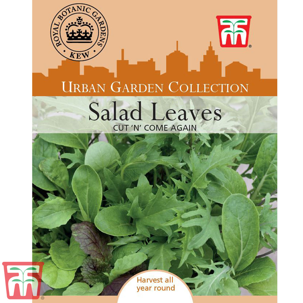 Salad Leaves 'Cut 'n' Come Again'- Kew Collection Seeds