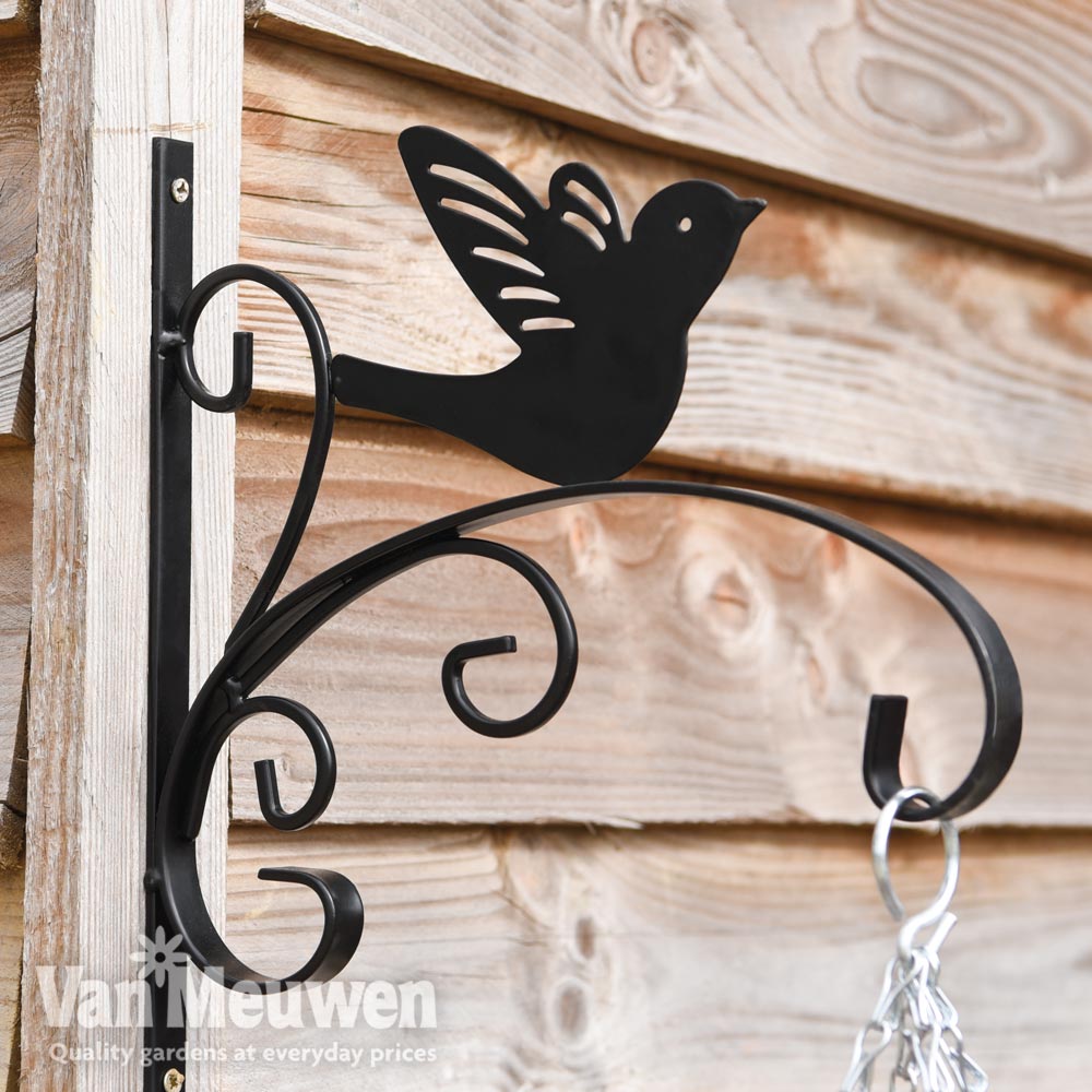 King Swallow Garden Bracket