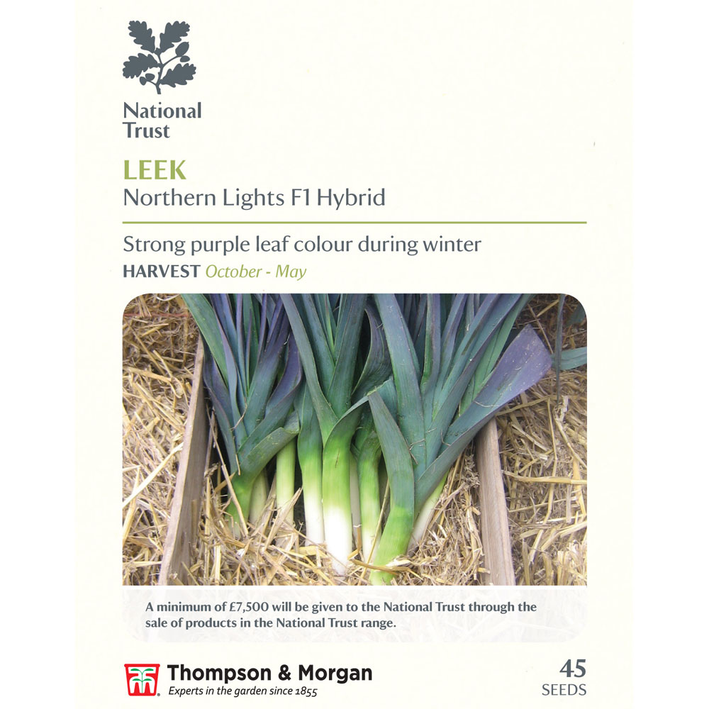 Leek 'Northern Lights' F1 Hybrid (National Trust)