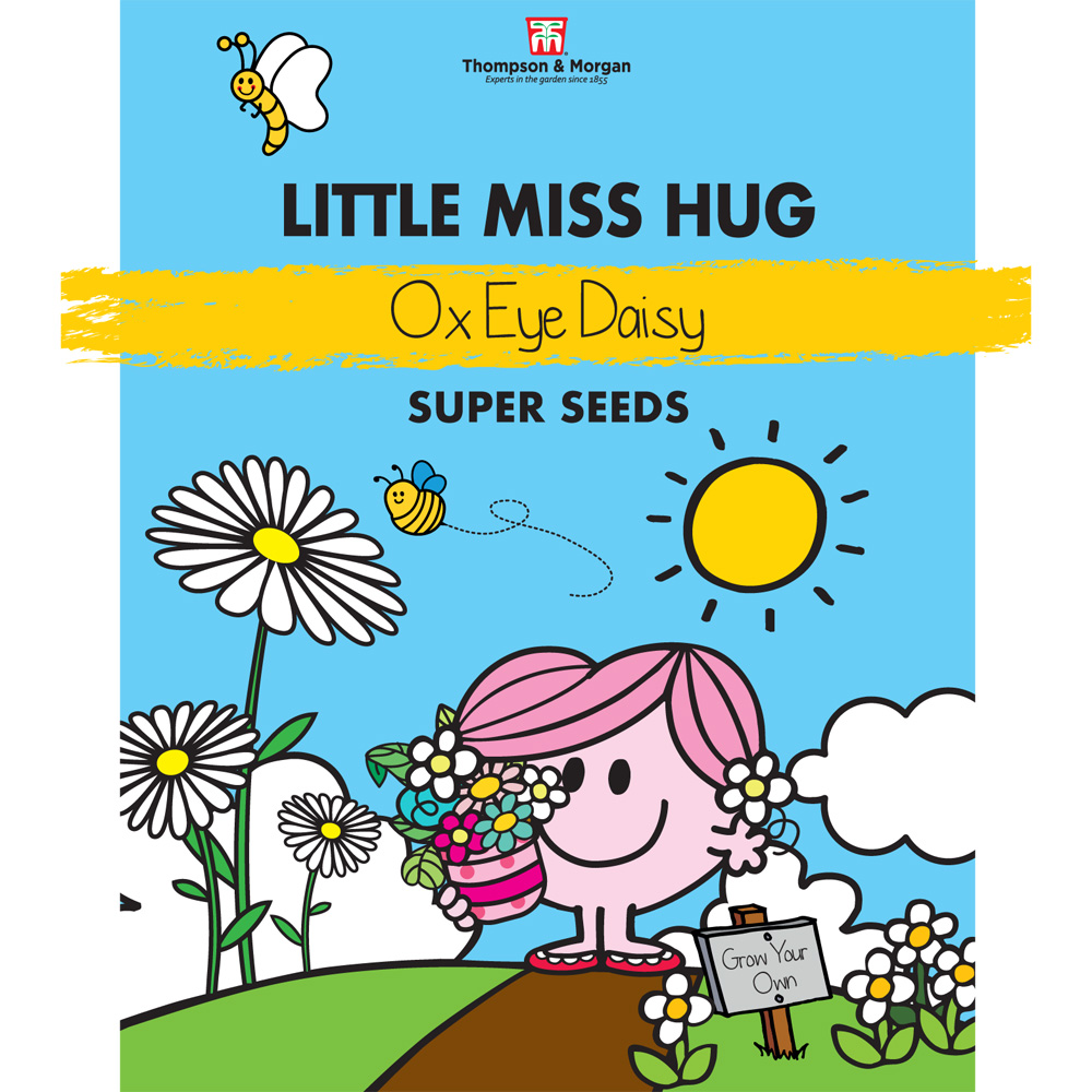 Little Miss Hug - Ox-Eye Daisy