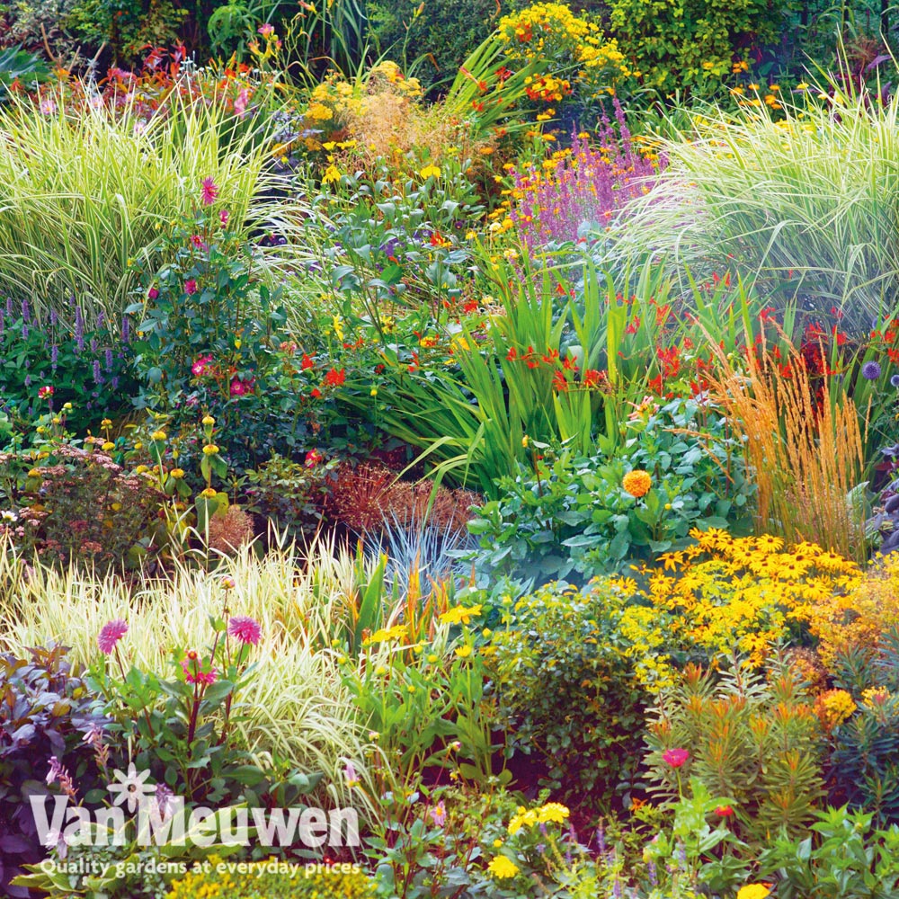 Nurserymans Choice Seasonal Perennial Border