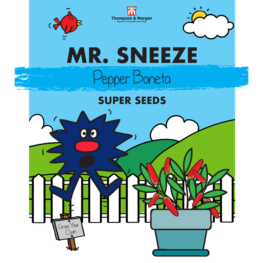 Mr. Sneeze - Pepper 'Boneta'