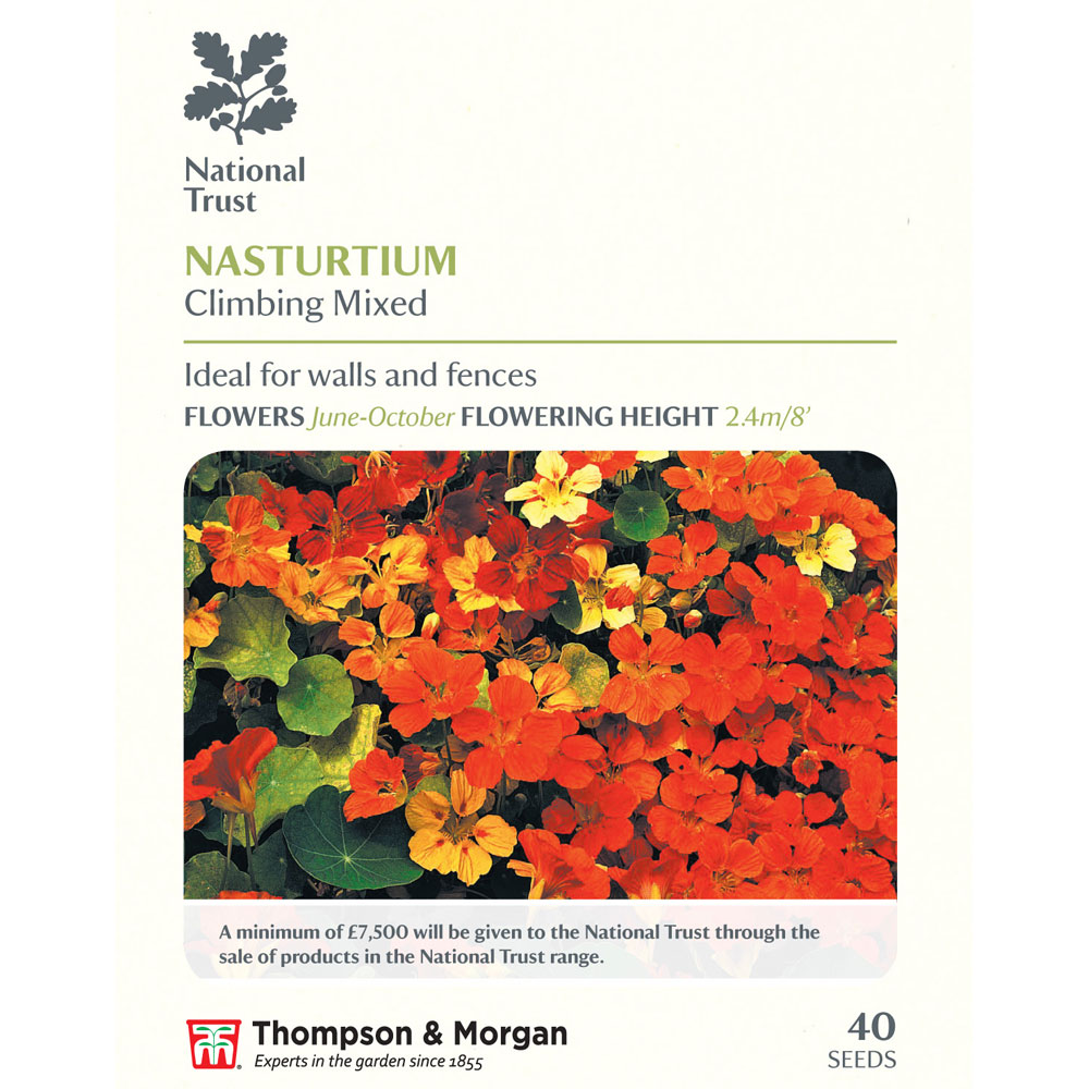 Nasturtium 'Climbing Mixed' (National Trust)