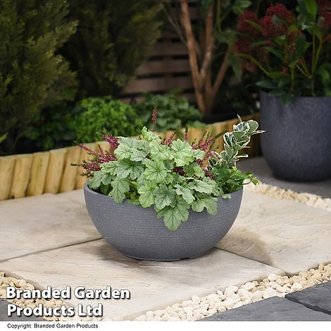 Bayadere Bowl Planter Dark Grey