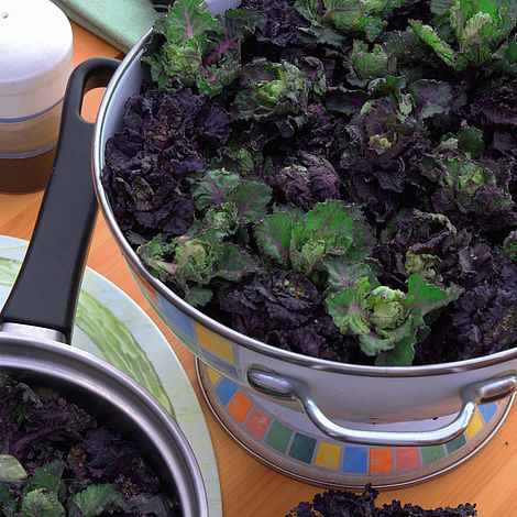 Kalettes® Garden Mix F1