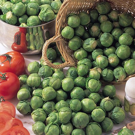 Brussels Sprout 'Bedford Fillbasket'