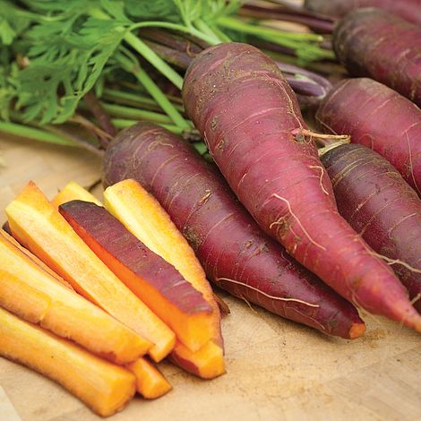 Carrot 'Cosmic Purple'