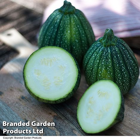 Courgette 'Boldenice' F1 Hybrid