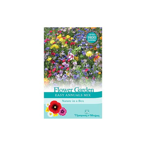 Flower Garden 'Easy Annuals Mixed'