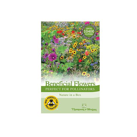Flower Garden 'Perfect for Pollinators'