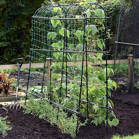 Garden Gear Pea and Bean Tunnel 1.8 x 1.8m