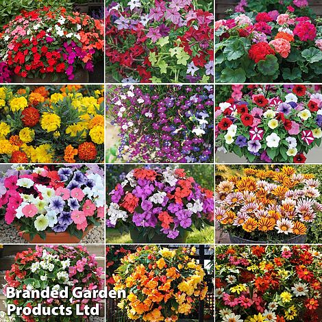 Garden Ready Bumper Collection