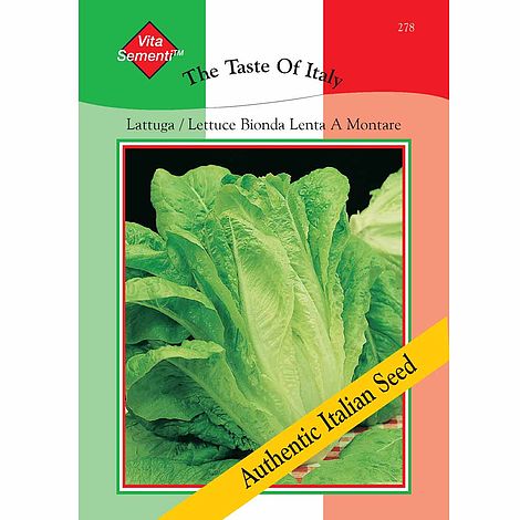 Lettuce 'Bionda Lenta a Montare' (Romaine) - Vita Sementi® Italian Seeds