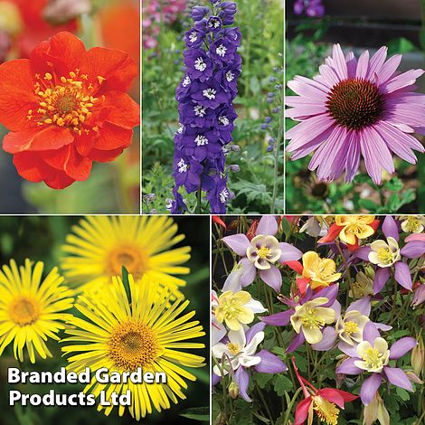 Nurserymans Choice Perennial Mix 36 Plugs + 5 seeds