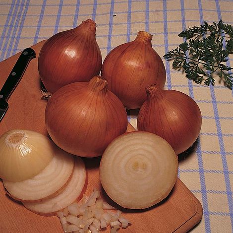 Onion 'Bedfordshire Champion' - Seeds