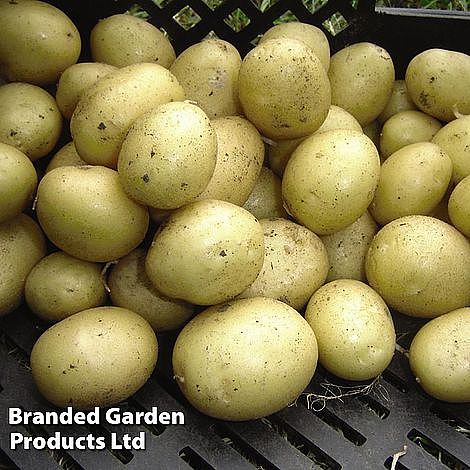 How to grow potatoes in potato bags with Van Meuwen 