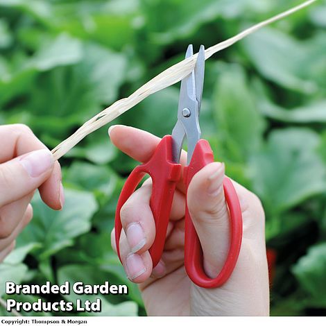 Garden Scissors