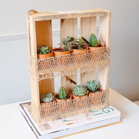 Hanging Wooden Succulent Shelf & Plants