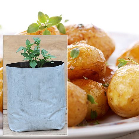 How to grow potatoes in potato bags with Van Meuwen 