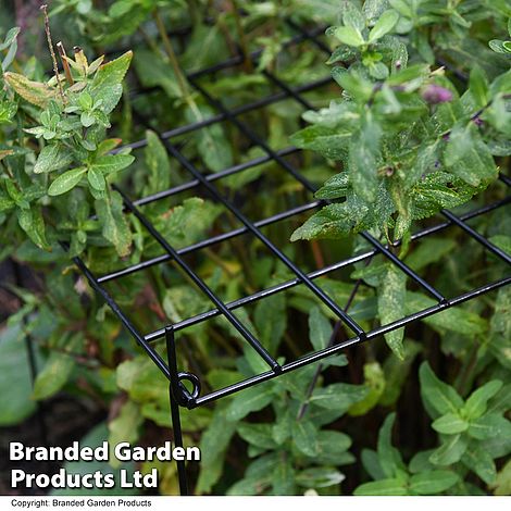 Rectangle Grow Through Grid Support