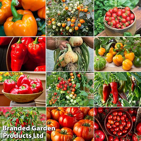 Nurseryman's Choice Vegetables