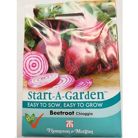 Beetroot 'Chioggia' (Globe) - Seeds