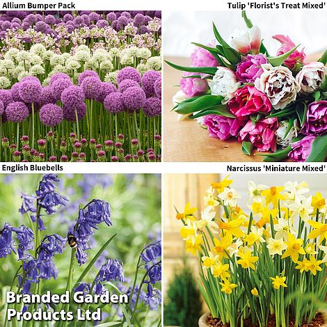 Spring Bulb Bumper Pack