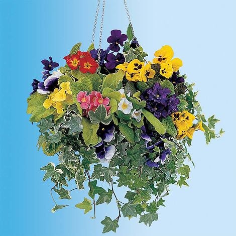 Hanging Basket Collection Winter Van Meuwen Hanging Basket Collection Winter
