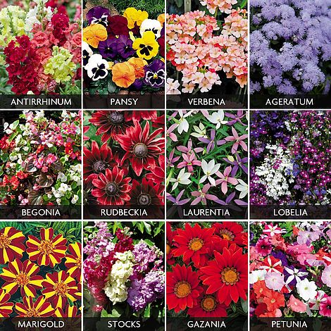 Summer Bedding Value Pack Van Meuwen