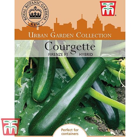 Courgette 'Firenze' F1 Hybrid - Kew Collection Seeds