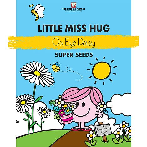 Little Miss Hug - Ox-Eye Daisy