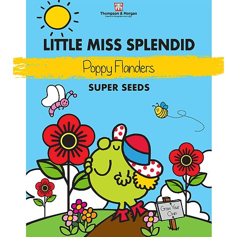 Little Miss Splendid - Poppy 'Flanders'