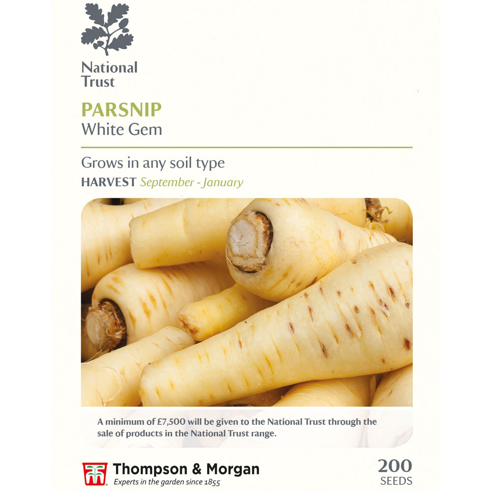 Parsnip 'White Gem' (National Trust)