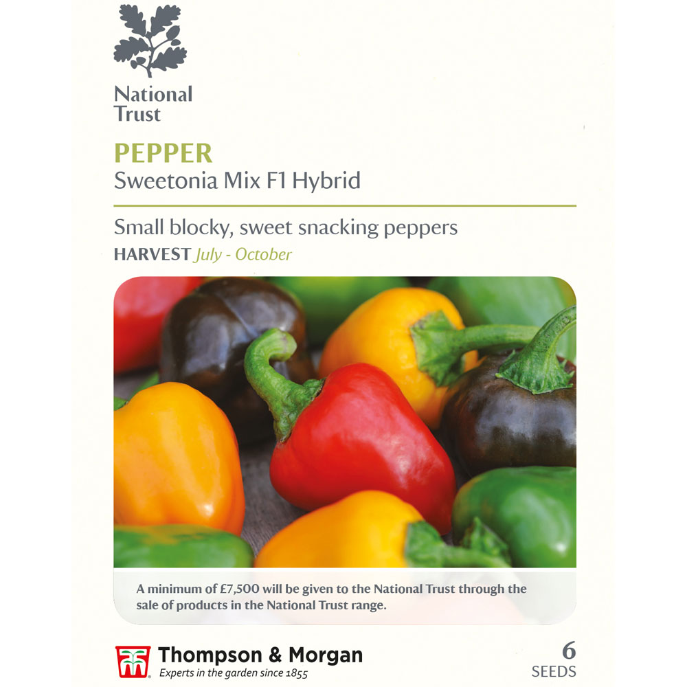 Sweet Pepper 'Mini Bell Mixed' (National Trust)