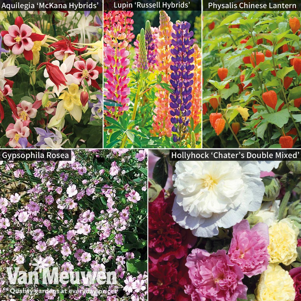 Perennial Saver Collection