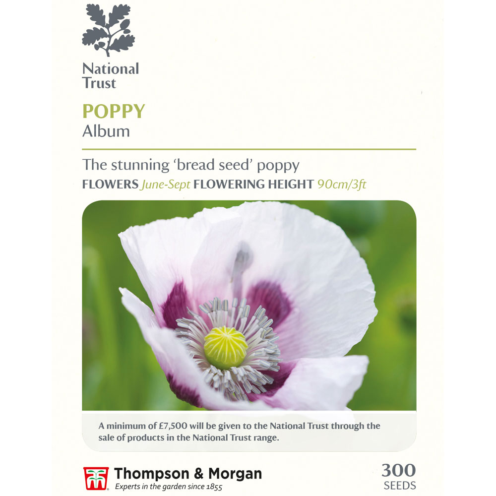 Poppy 'Album' (National Trust)