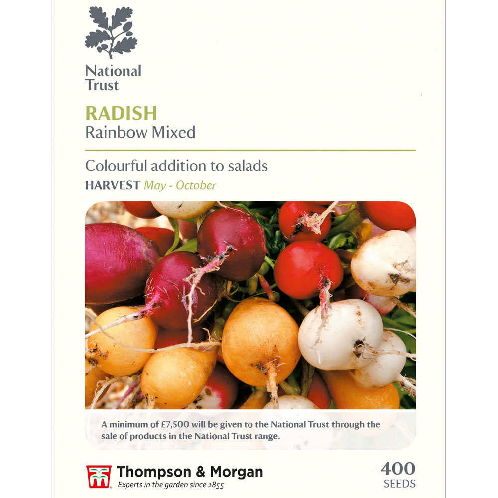 Radish 'Rainbow Mixed' (National Trust)