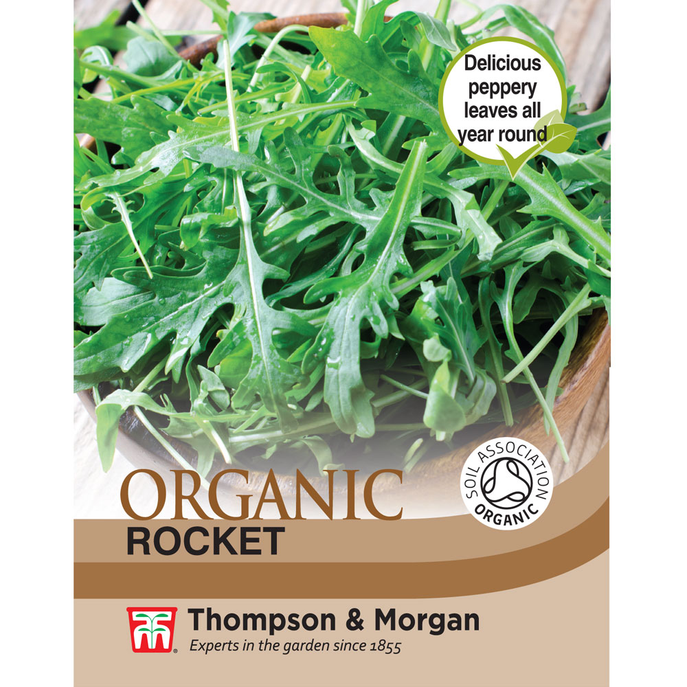 Herb Rocket (Cultivated) - Organic Seeds