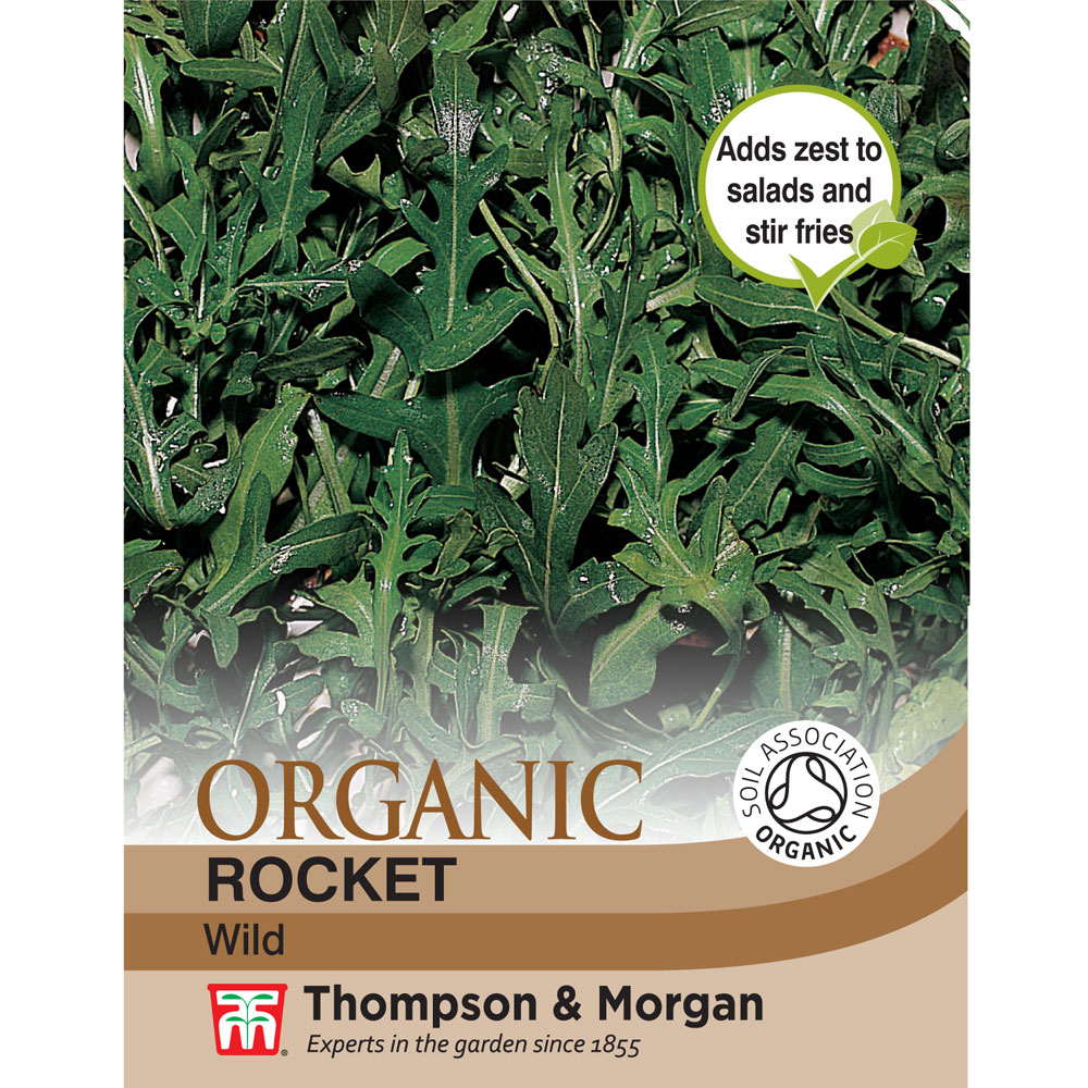 Wild Rocket - Organic Seeds