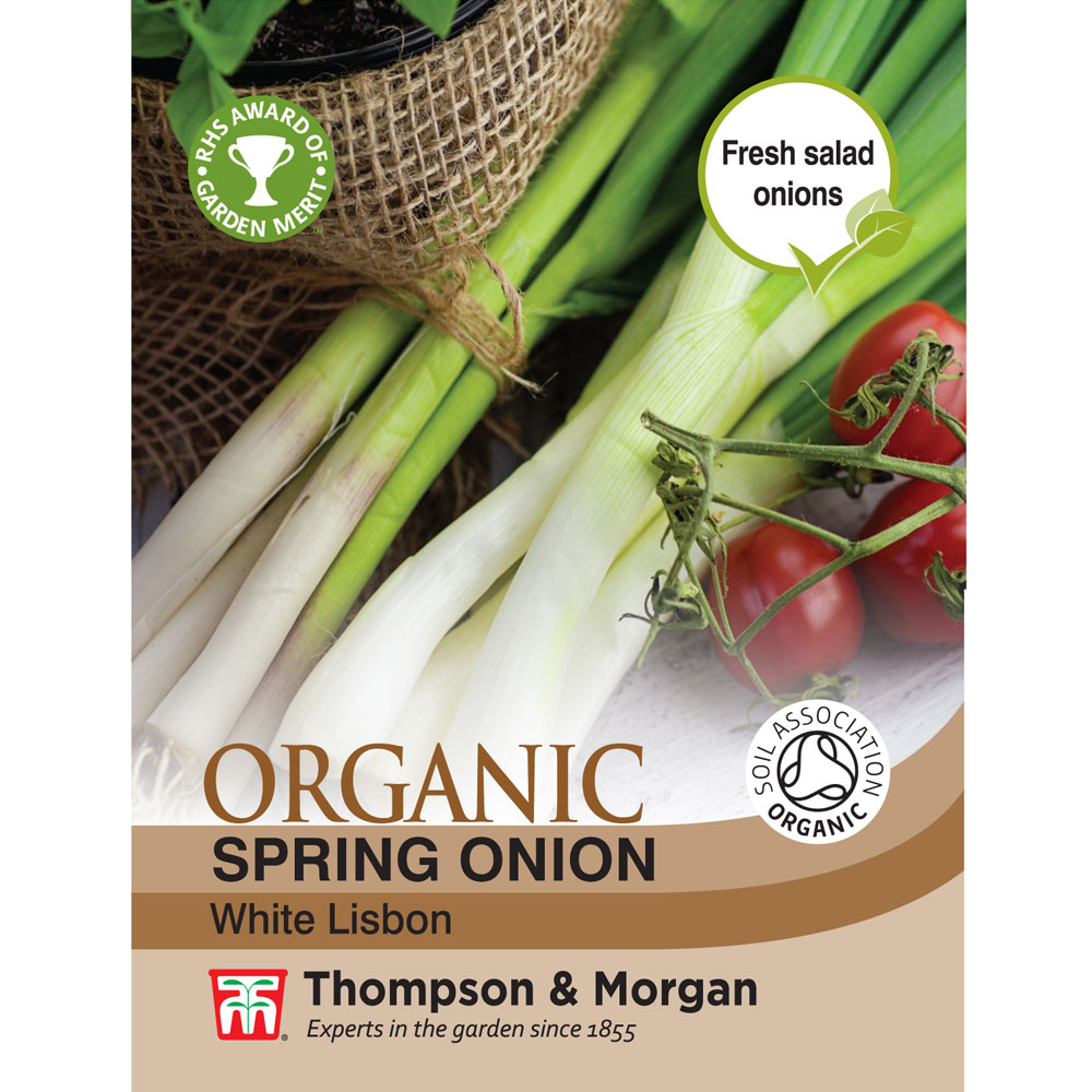 Spring Onion 'White Lisbon' - Organic Seeds