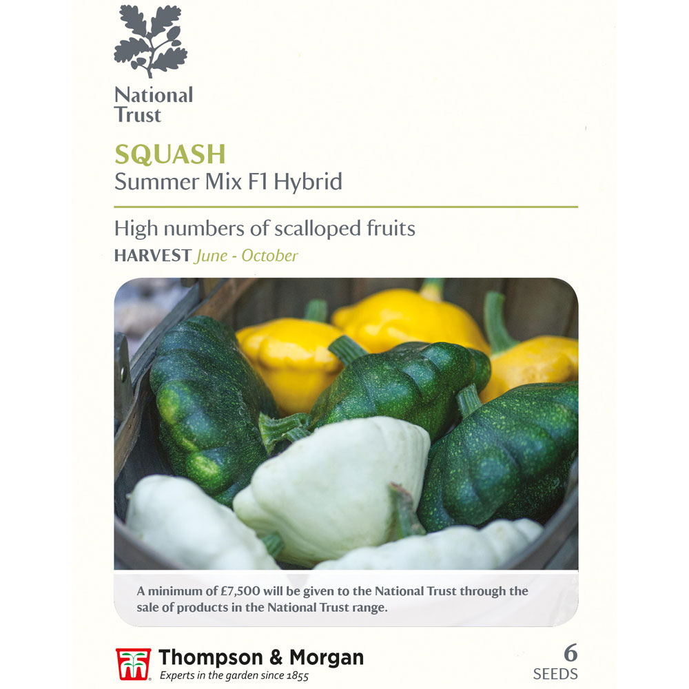 Squash 'Summer Mix' F1 hybrid (Summer) (National Trust)