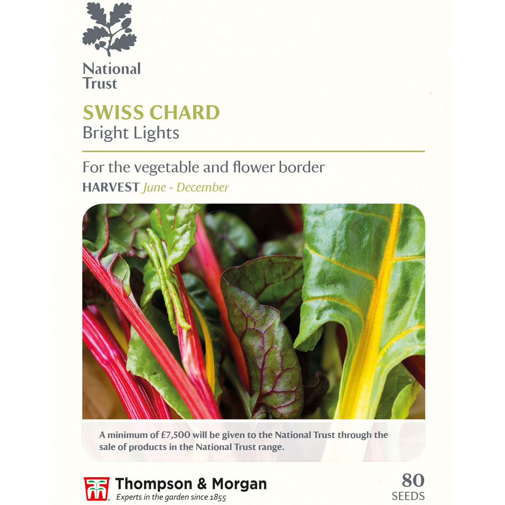 Swiss Chard 'Bright Lights' (National Trust)