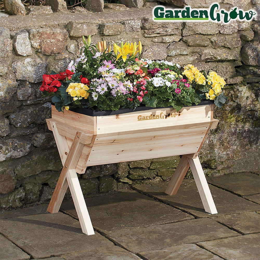 Garden Grow Medium Wooden Planter with £20 worth of veg seed