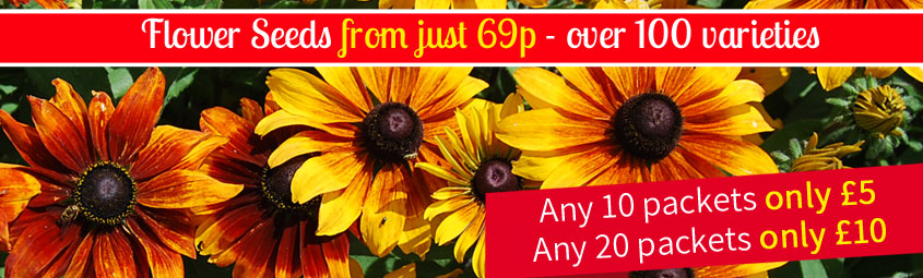Flower Seeds Stock Clearance - 10 packets for just £5