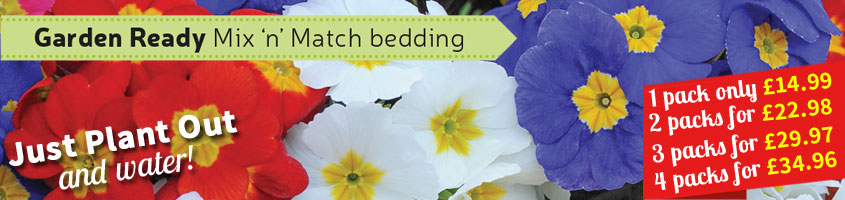 Garden-ready Winter Bedding