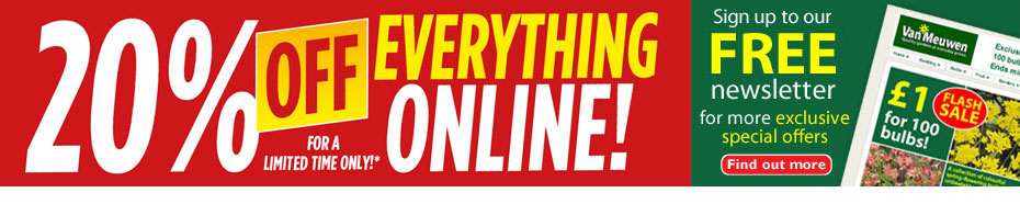 20% discount offer
