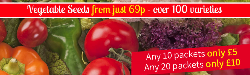 Vegetable Seeds Stock Clearance - 10 packets for just £5