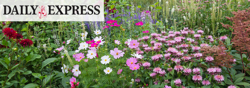 Daily Express