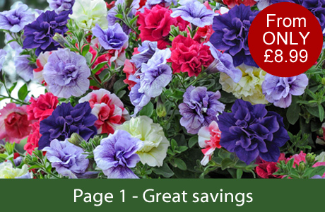 Page 1 - Great Savings